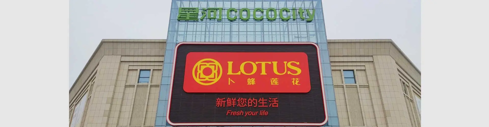 Fallstudie-LOTUS