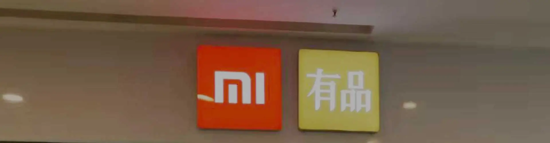 Fallstudie-Xiaomi YouPin